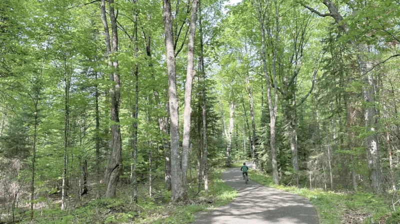 Nearly $1 million conservation easement approved in Vilas County